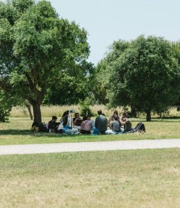 A serene outdoor gathering of adults under trees in a Portuguese park on a sunny day.